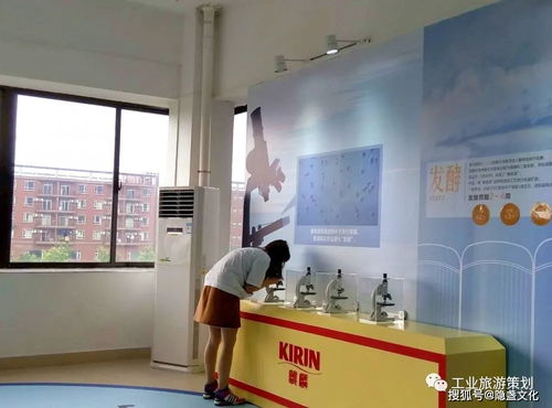 麒麟一番榨 暢享純正啤酒之旅，盡在觀光工廠與貼心服務(wù)